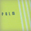 Royal Palm PResentation Folder
